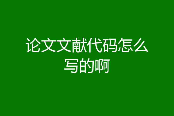 论文文献代码怎么写的啊