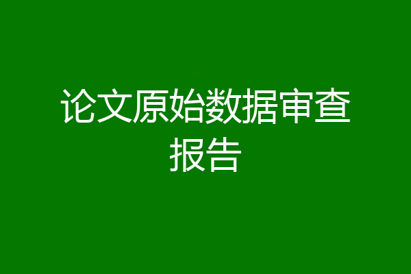 论文原始数据审查报告