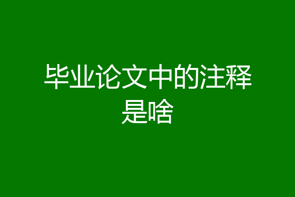 毕业论文中的注释是啥