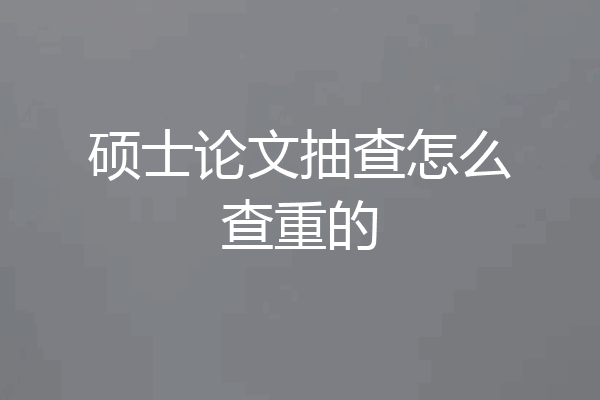 硕士论文抽查怎么查重的