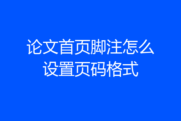 论文首页脚注怎么设置页码格式