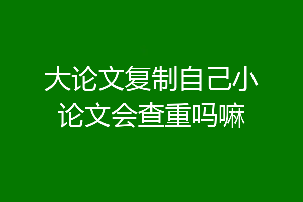 大论文复制自己小论文会查重吗嘛
