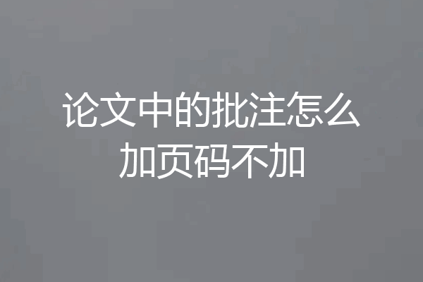 论文中的批注怎么加页码不加