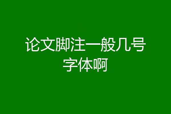 论文脚注一般几号字体啊