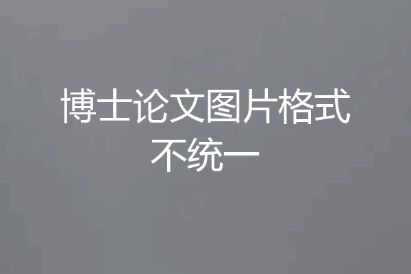 博士论文图片格式不统一