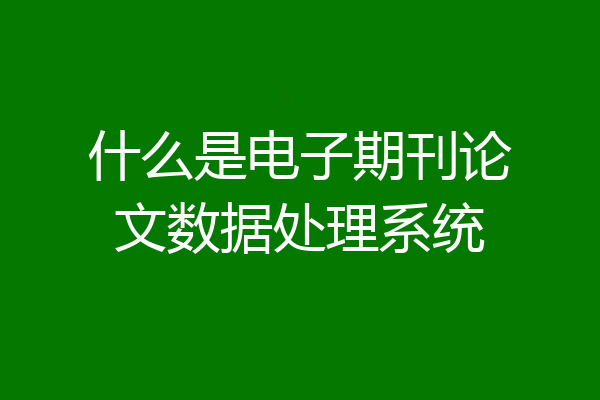 什么是电子期刊论文数据处理系统