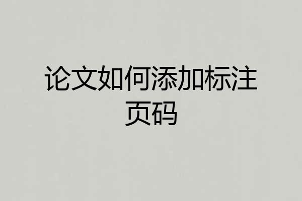 论文如何添加标注页码