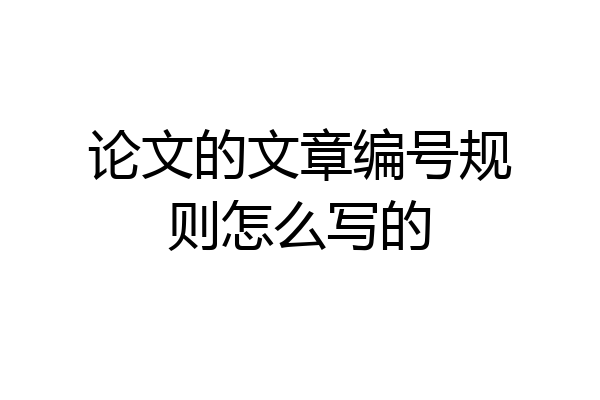 论文的文章编号规则怎么写的