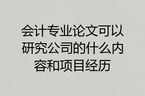 会计专业论文可以研究公司的什么内容和项目经历