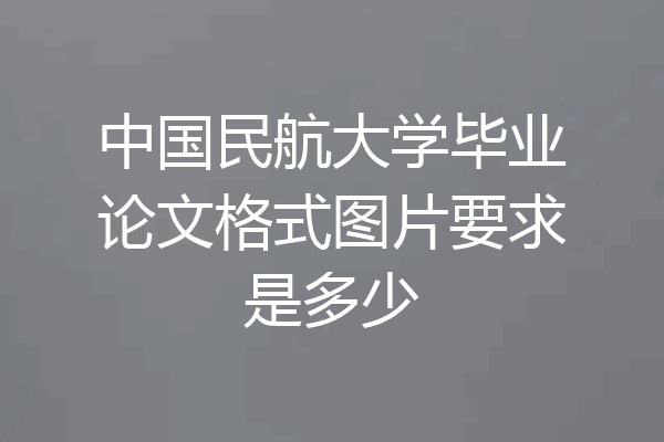 中国民航大学毕业论文格式图片要求是多少