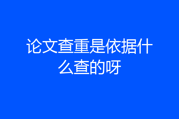 论文查重是依据什么查的呀