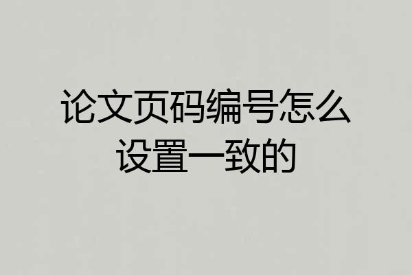 论文页码编号怎么设置一致的