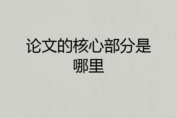 论文的核心部分是哪里