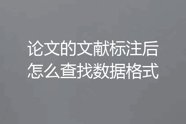 论文的文献标注后怎么查找数据格式