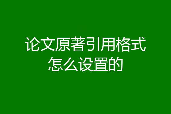论文原著引用格式怎么设置的