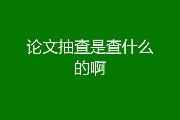 论文抽查是查什么的啊