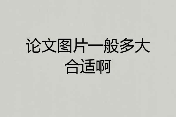 论文图片一般多大合适啊