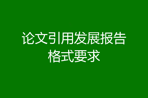 论文引用发展报告格式要求