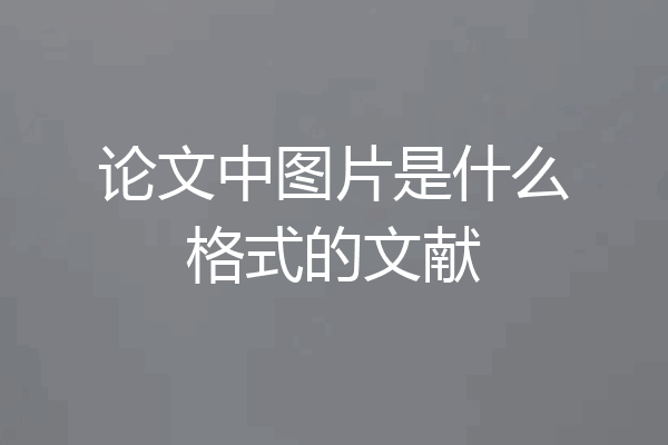 论文中图片是什么格式的文献