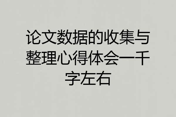 论文数据的收集与整理心得体会一千字左右