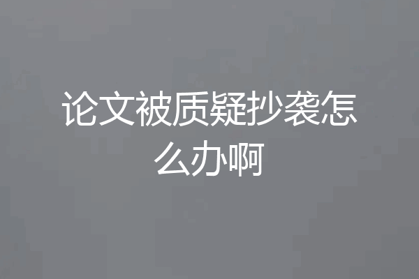 论文被质疑抄袭怎么办啊