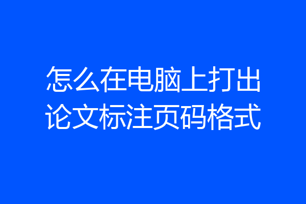 怎么在电脑上打出论文标注页码格式
