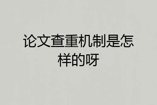 论文查重机制是怎样的呀