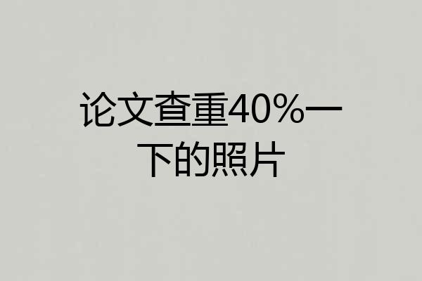 论文查重40%一下的照片