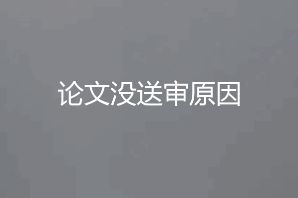 论文没送审原因