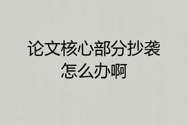 论文核心部分抄袭怎么办啊