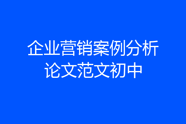 企业营销案例分析论文范文初中