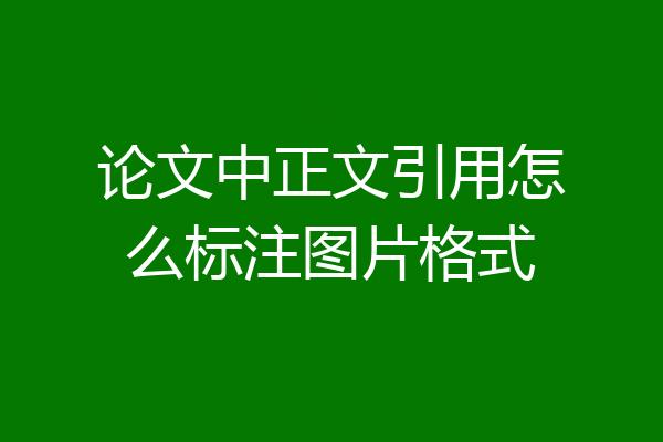 论文中正文引用怎么标注图片格式