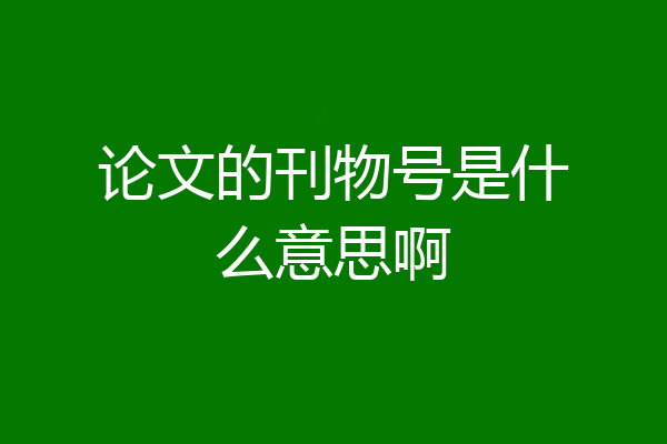 论文的刊物号是什么意思啊