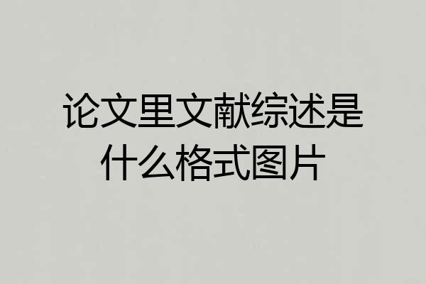 论文里文献综述是什么格式图片