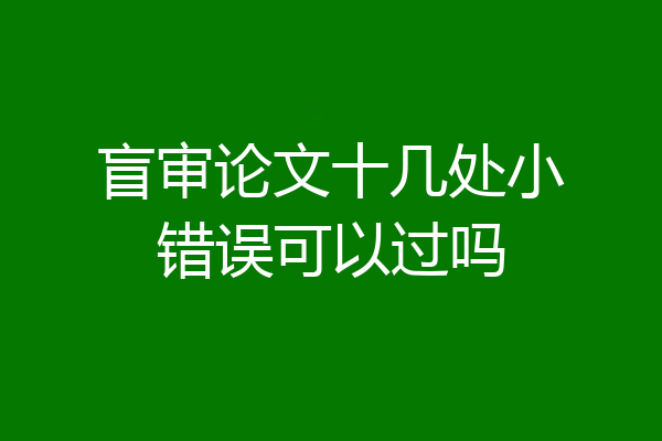 盲审论文十几处小错误可以过吗