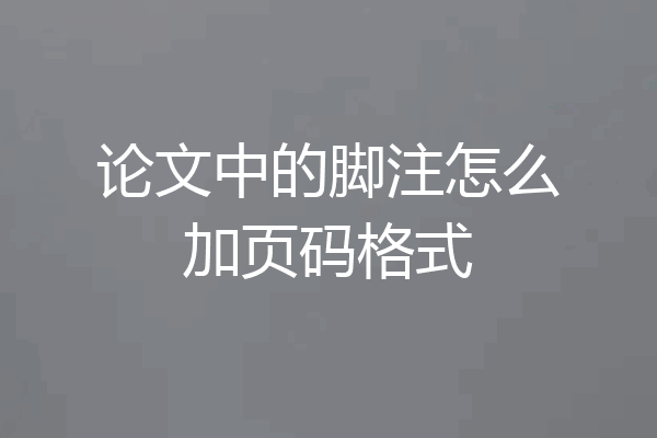 论文中的脚注怎么加页码格式