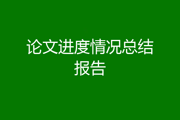 论文进度情况总结报告