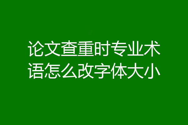 论文查重时专业术语怎么改字体大小