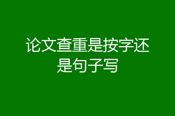 论文查重是按字还是句子写