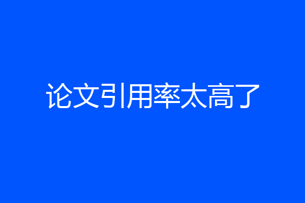 论文引用率太高了