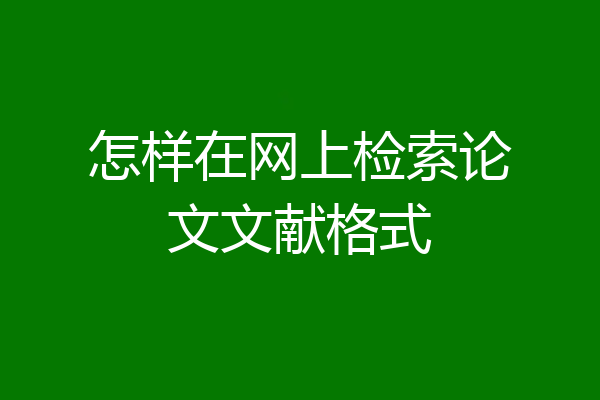怎样在网上检索论文文献格式