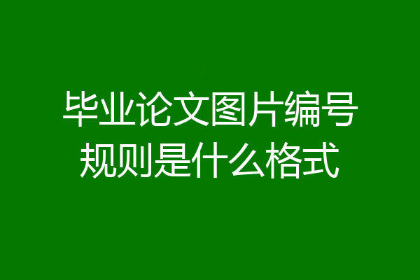 毕业论文图片编号规则是什么格式