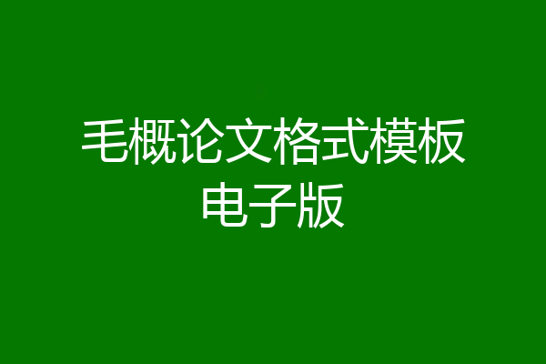 毛概论文格式模板电子版