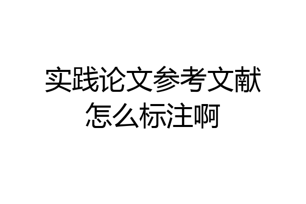 实践论文参考文献怎么标注啊