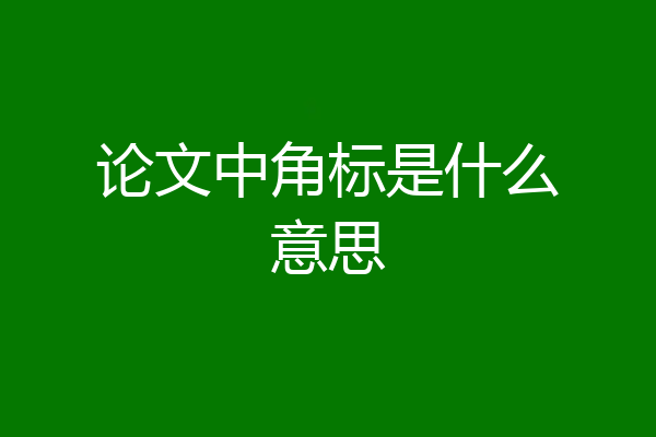 论文中角标是什么意思