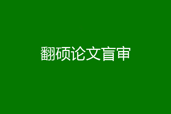 翻硕论文盲审