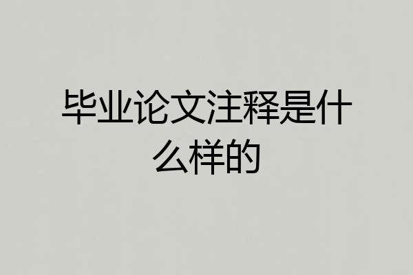 毕业论文注释是什么样的