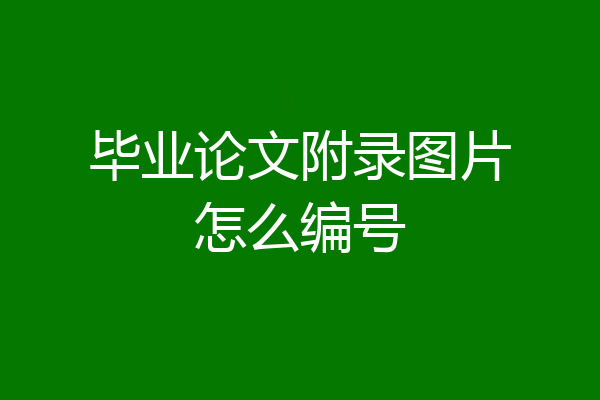 毕业论文附录图片怎么编号