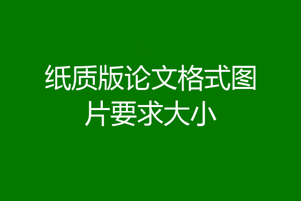纸质版论文格式图片要求大小