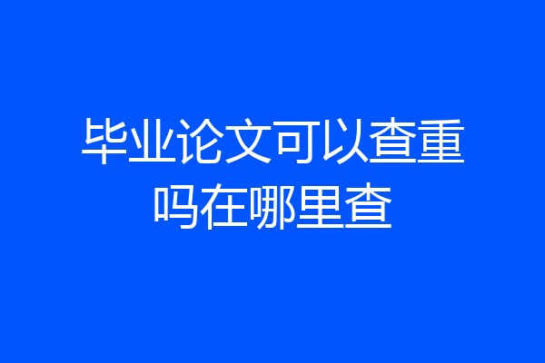 毕业论文可以查重吗在哪里查